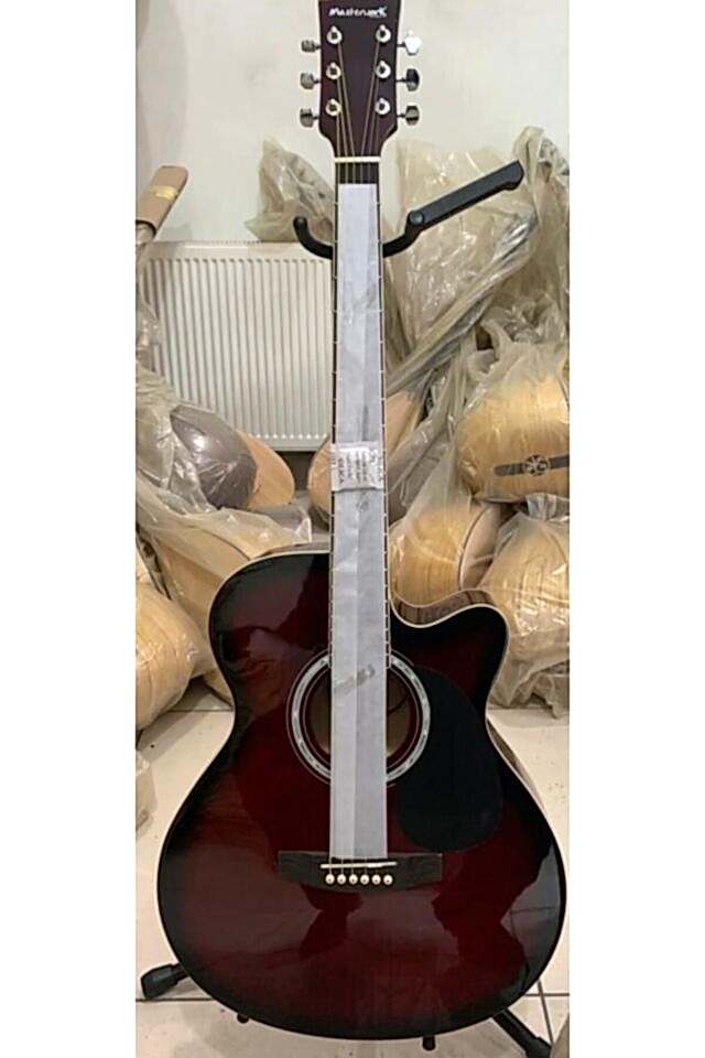 Elektro Akustik Gitar