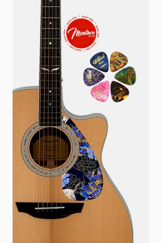 6'lı Gitar Penası + Pena Korumalığı Set