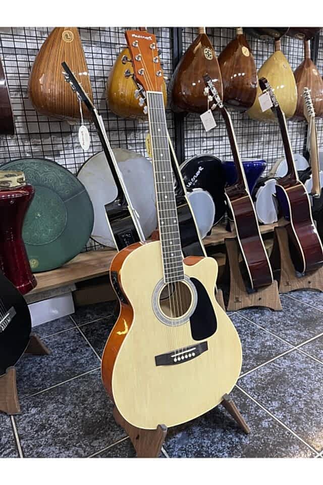 Elektro Akustik Gitar Kılıf hediyeli