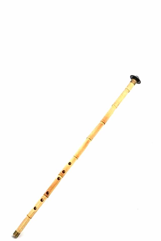 Profesyonel Kamış Kız Ney