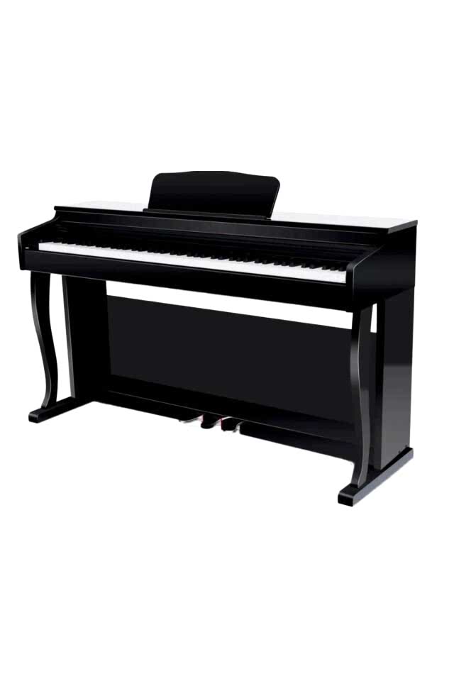 Winchester WDP4927 Dijital Piyano