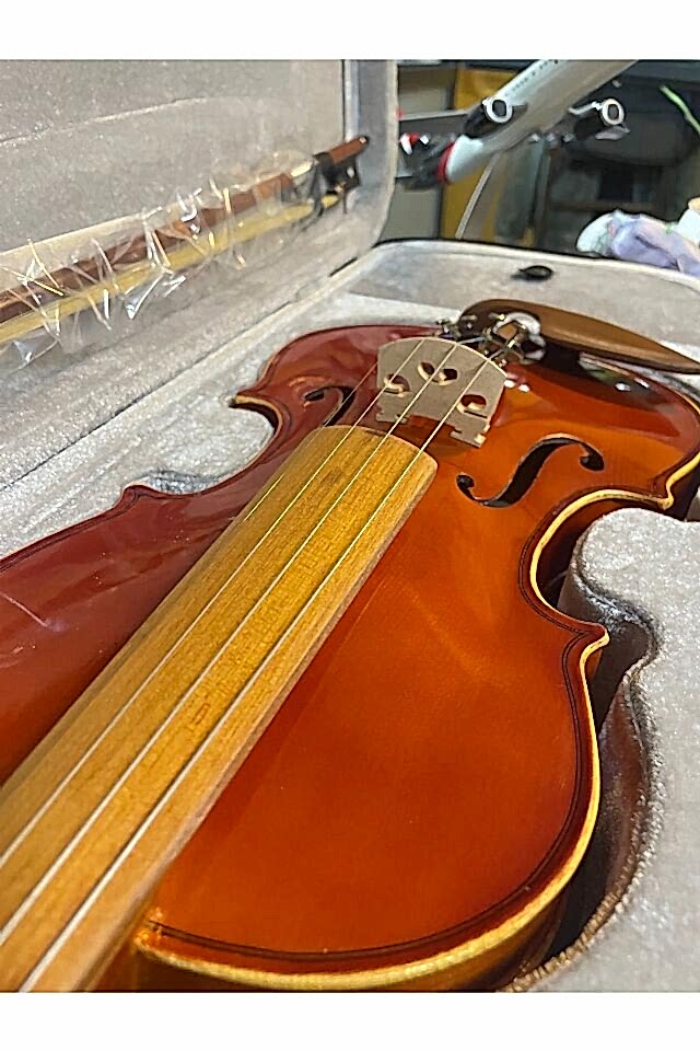 Profesyonel 4/4 Kare Kutu Gül Klavye Parlak Cila Keman