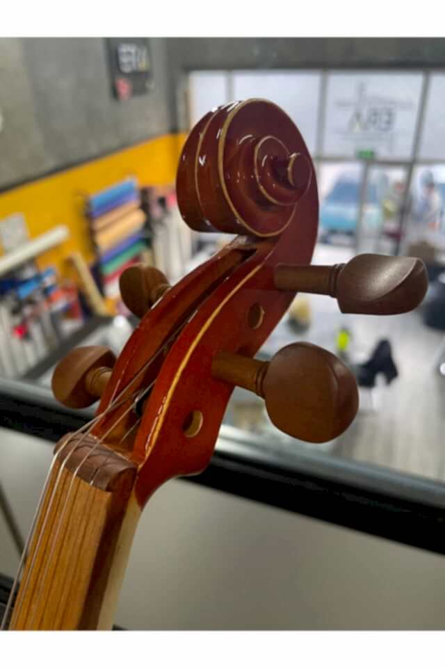 Profesyonel 4/4 Kare Kutu Gül Klavye Parlak Cila Keman