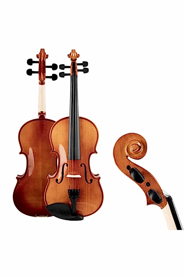 Sv140 Tam Boy 4/4 Keman Full Set