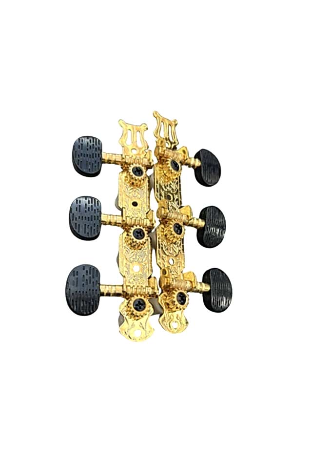 Tam Profesyonel Gitar Kulağı-Akort Burgusu