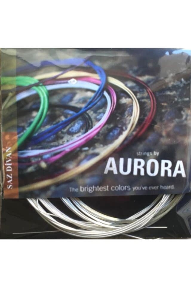 Premium 0.25 Divan Saz Teli Takımı (Bambamlı)