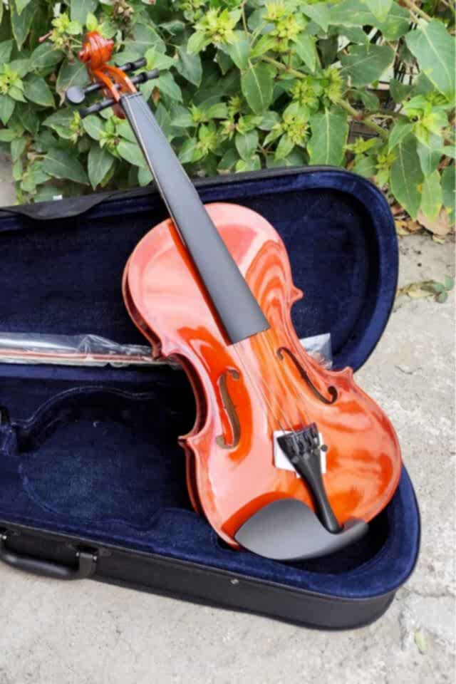 Almeda Parlak 4/4 Keman Yetişkin Kemanı