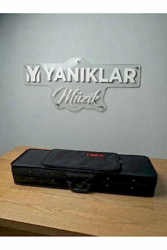 AM22407 4/4 Profesyonel Kare Kutu Parlak Keman