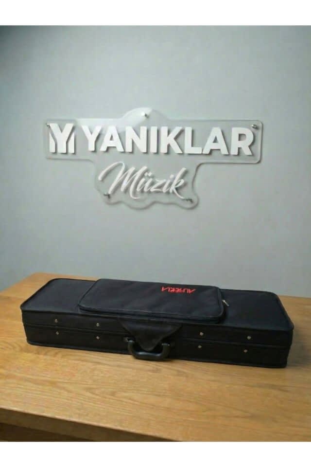 AM22407-12 1/2 Profesyonel Kare Kutu Parlak Keman (2/4)